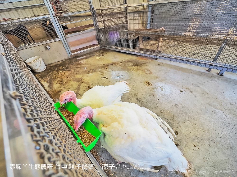 赤腳ㄚ生態農莊 台中 親子餐廳