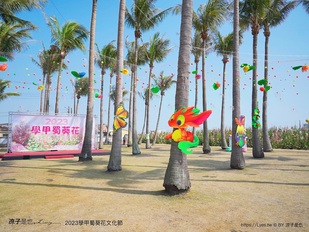 學甲蜀葵花文化節 2023 蜀葵花季 一丈紅迷宮 紫色鼠尾草 季節 花況 交通 學甲景點