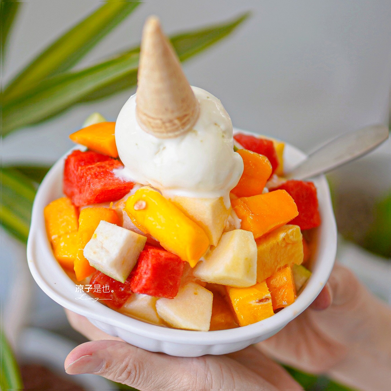 成美豐仁冰 菜單 一中街 孔廟 水果冰 豐仁冰創始店 台中手工冰淇淋 成美商行 飲料 冰沙 水餃 泡麵