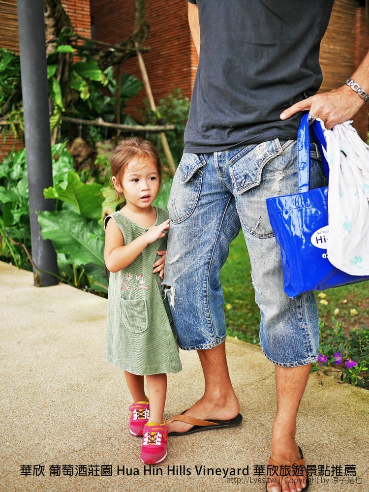 華欣 葡萄酒莊園 Hua Hin Hills Vineyard 華欣旅遊景點推薦