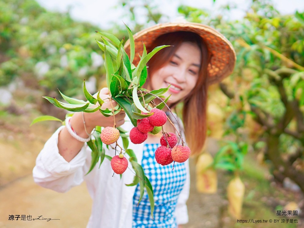 星光 親子景點 免費採果活動 台南農場 台南露營 diy 採芒果體驗 自然的鬥士