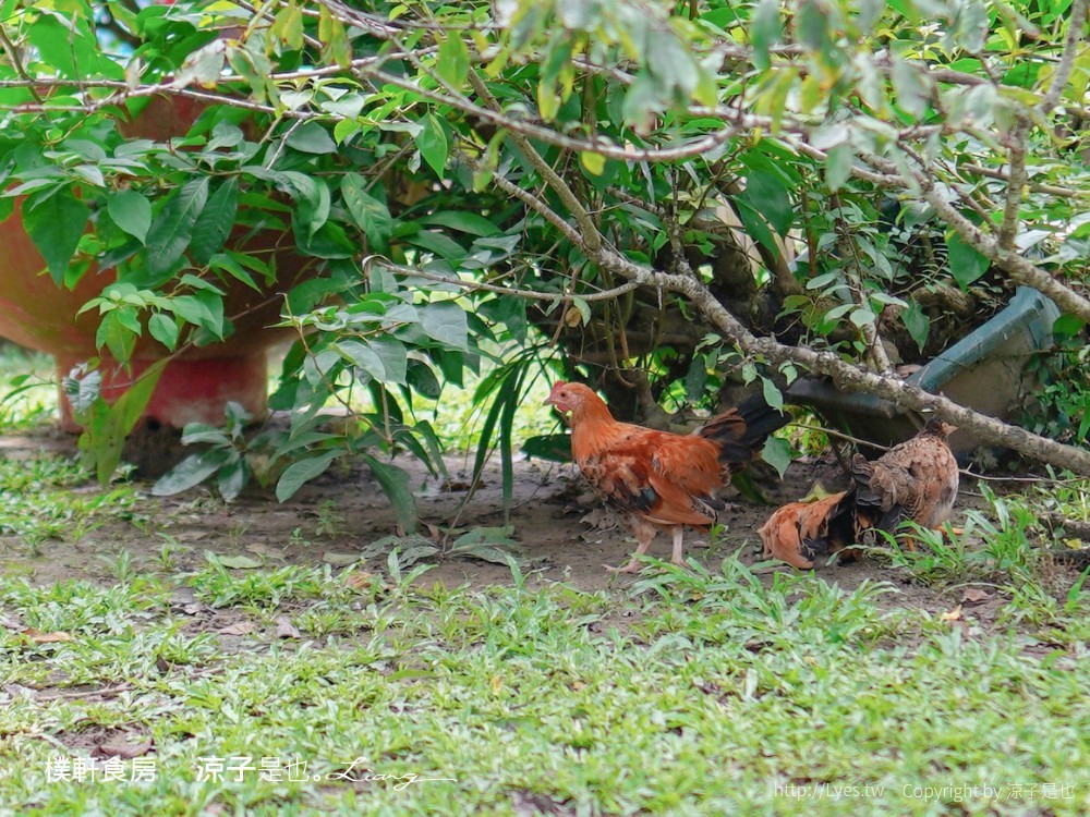 樸軒食房 菜單 台南 白河 關子嶺 景觀餐廳 庭園餐廳 火鍋 簡餐 下午茶