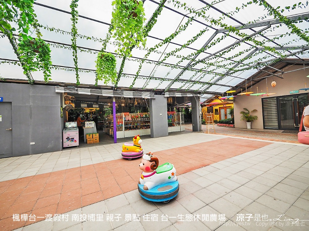 楓樺台一渡假村 南投埔里 親子 景點 住宿 台一生態休閒農場