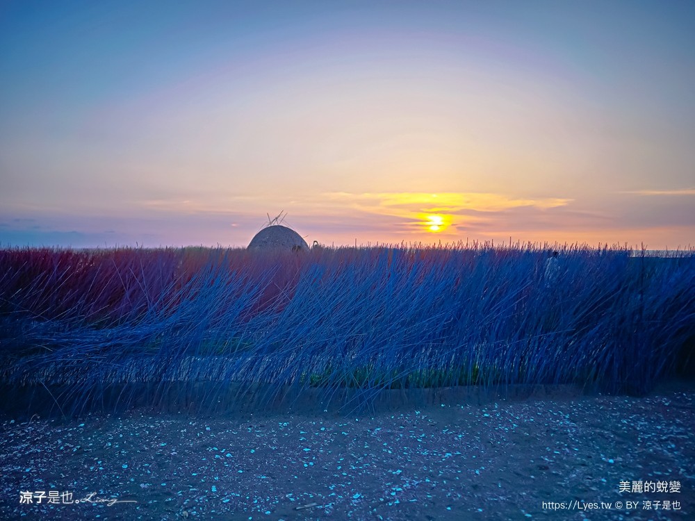 台南景點 七彩同心圓迷宮 ig打卡 開江紀 台江國家公園 鹿耳門 台南地景藝術 台江建庄二百年