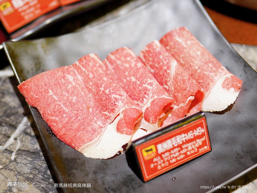 新馬辣經典麻辣鍋 菜單 價位 台中麻辣鍋吃到飽 台中公益路餐廳 壽星優惠 和牛火鍋 哈根達斯