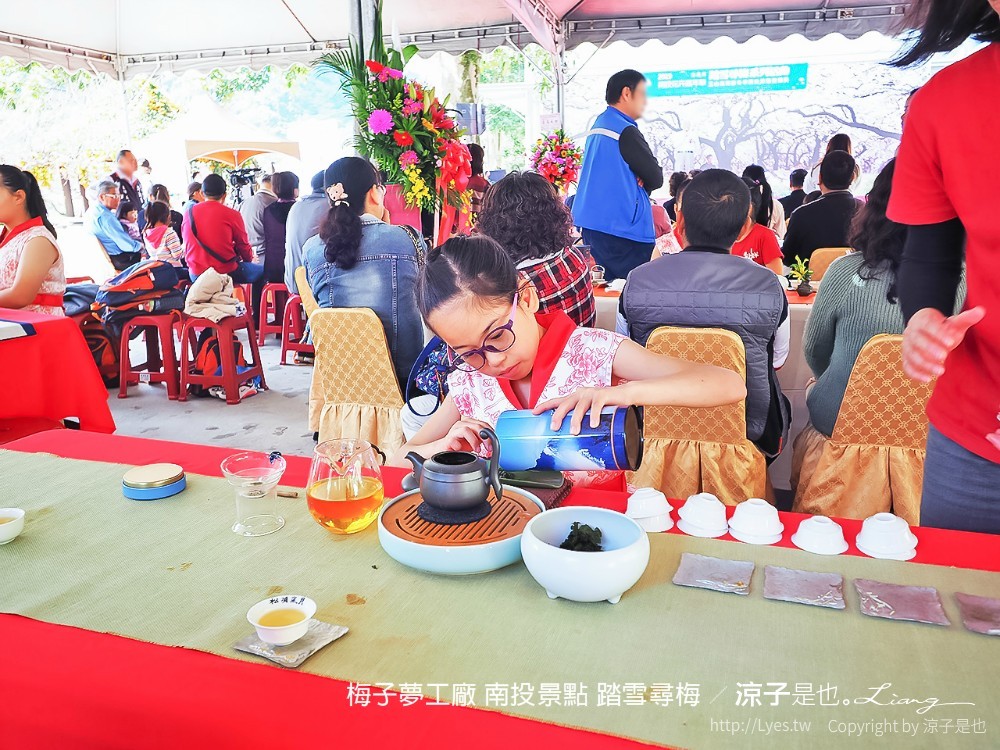 梅子夢工廠 南投景點 踏雪尋梅