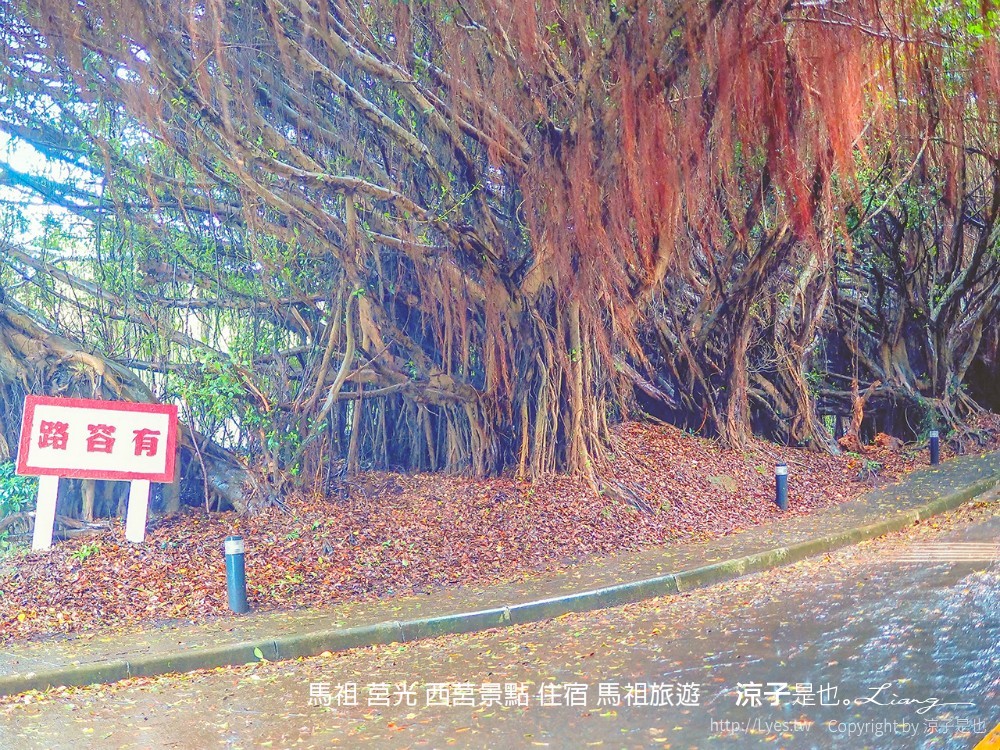 馬祖 莒光 西莒景點 住宿 馬祖旅遊