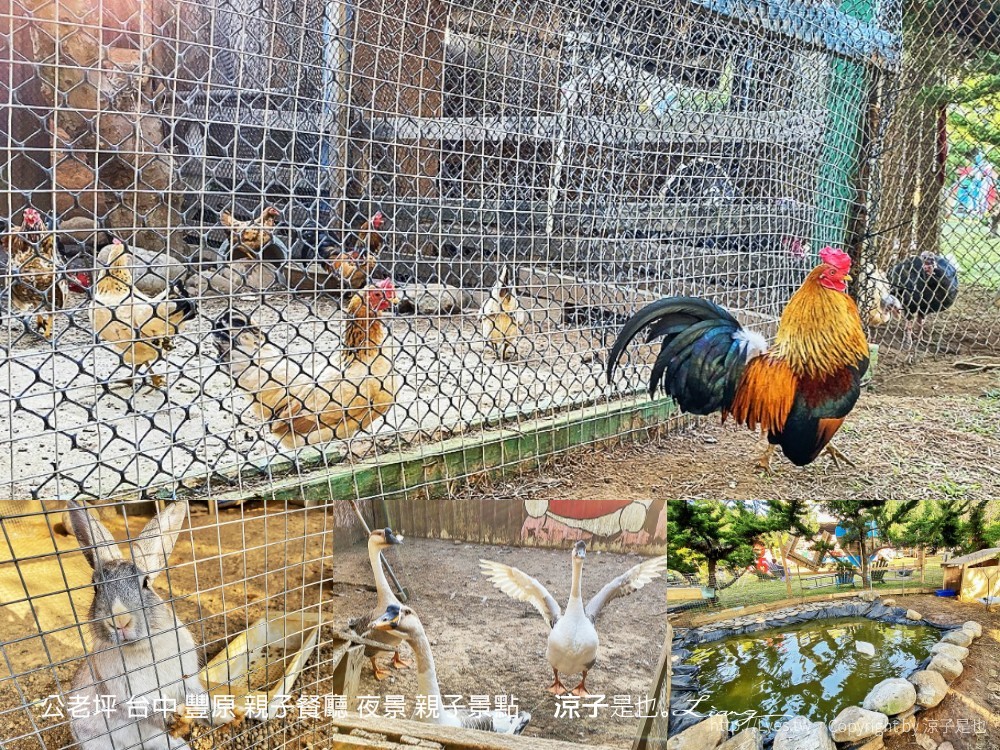 公老坪 台中 豐原 親子餐廳 夜景 親子景點
