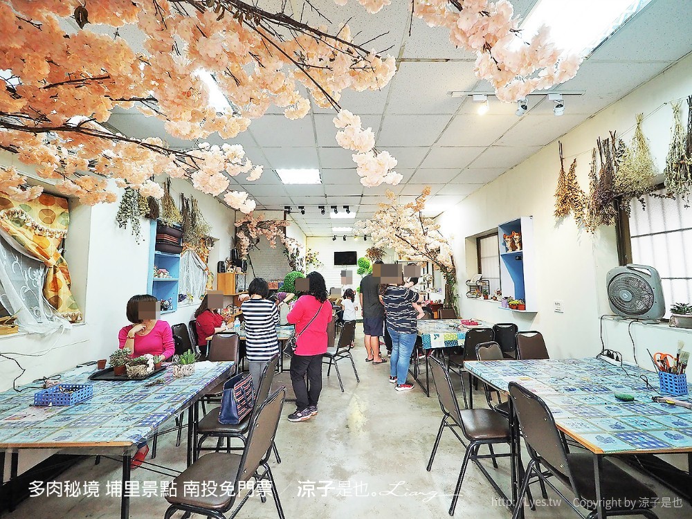 多肉秘境 埔里景點 南投免門票