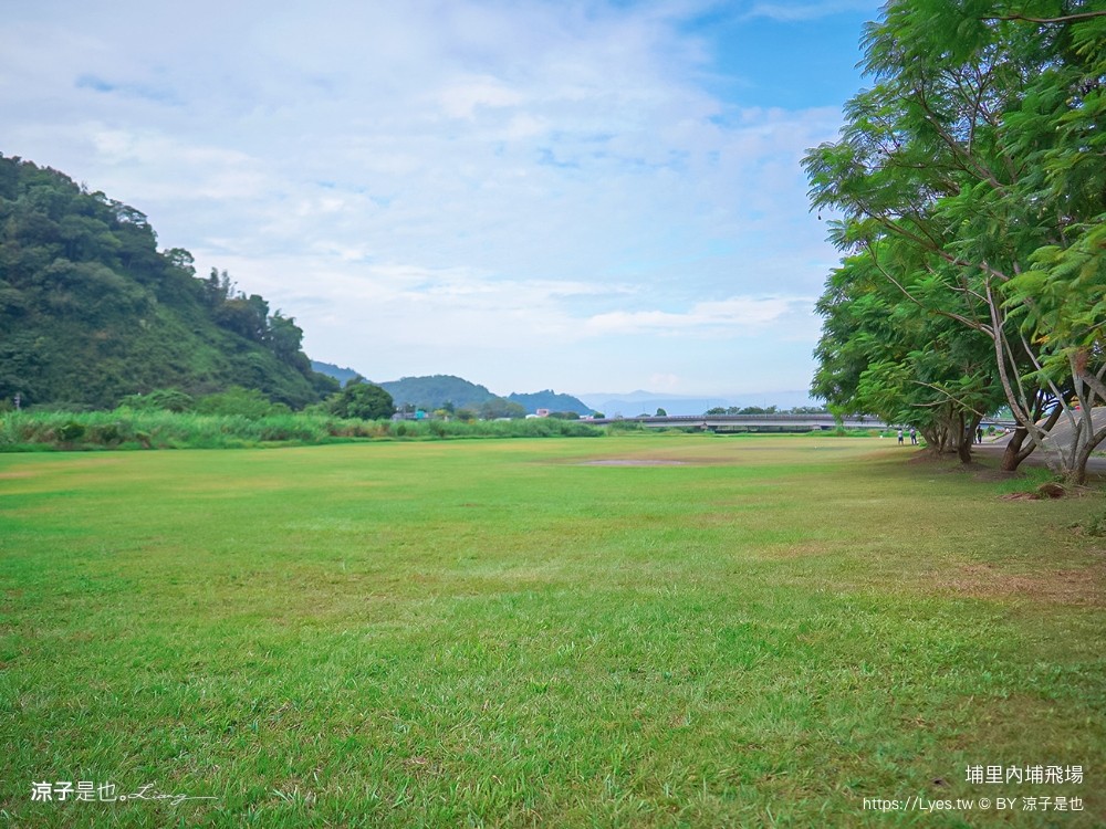 埔里景點 埔里內埔飛場 欒樹親子景點 南投藍花楹花道 賞花秘境 草地野餐 放風箏 玩球