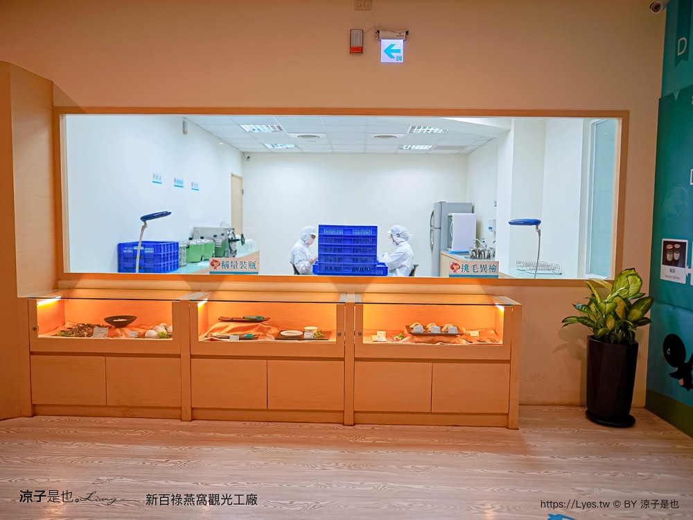新百祿燕窩觀光工廠 免門票 台南景點 親子景點 燕窩DIY 台南伴手禮 互動體驗 新百祿燕窩評價