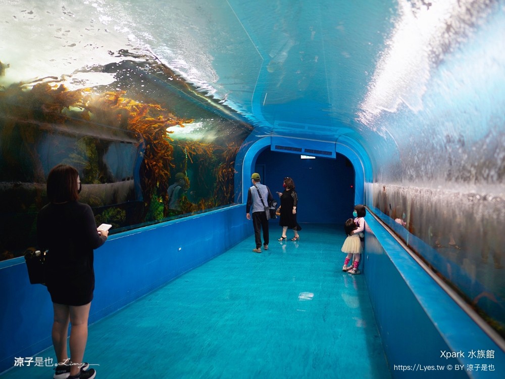 xpark水族館 門票優惠 桃園 親子景點 最新攻略 必看展區 美食餐廳 交通 停車 住宿