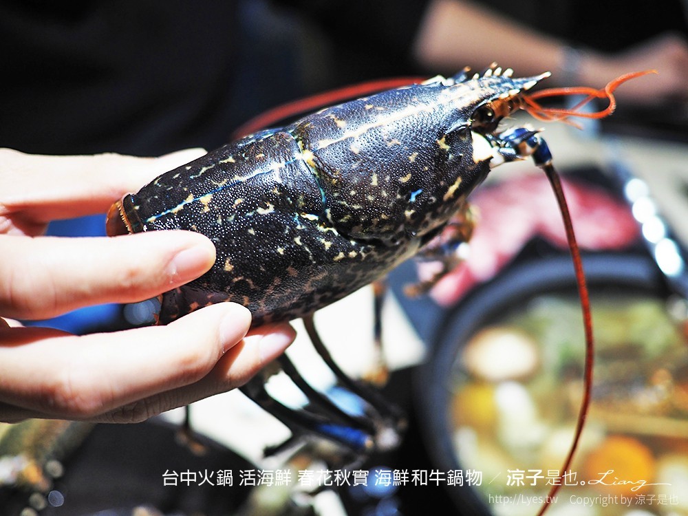 台中火鍋 活海鮮 春花秋實 海鮮和牛鍋物