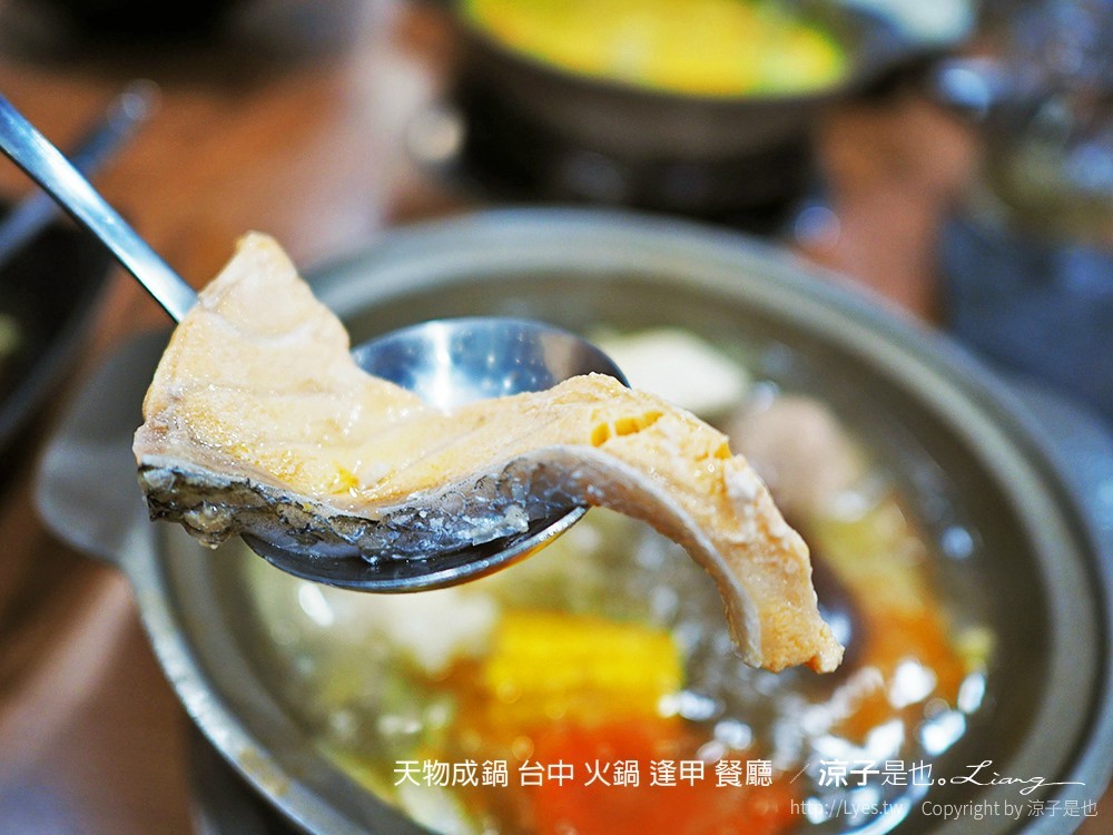 天物成鍋 台中 火鍋 逢甲 餐廳