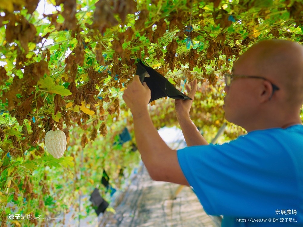 宏展農場 嘉義布袋一日遊 親子景點 美食小吃 伴手禮 布袋住宿 行程推薦 高跟鞋教堂