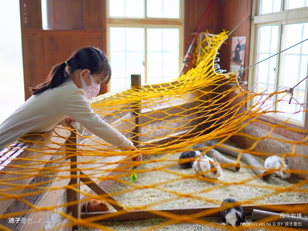 苗栗 飛牛牧場住宿 房型 早餐 四人房 2天1夜 園區門票 票價 苗栗親子飯店推薦