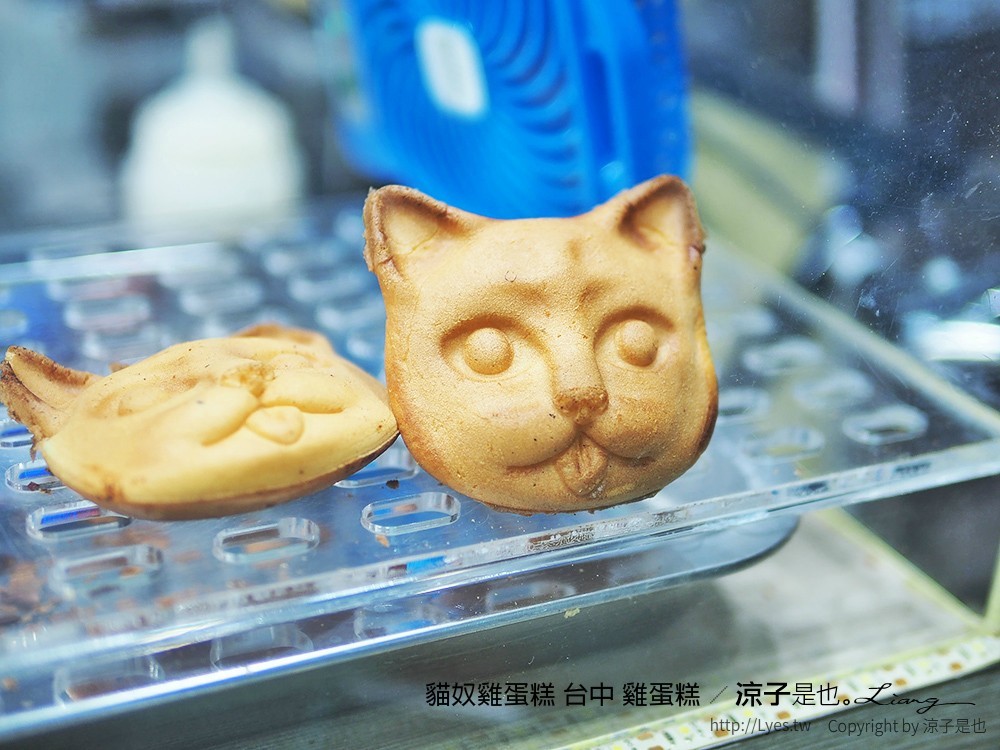 貓奴雞蛋糕 台中 雞蛋糕
