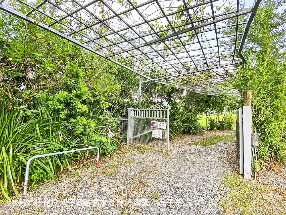 水鏡農莊 南投 親子景點 戲水池 烤肉 露營