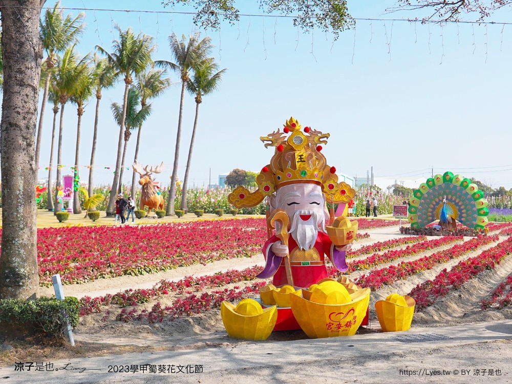 學甲蜀葵花文化節 2023 蜀葵花季 一丈紅迷宮 紫色鼠尾草 季節 花況 交通 學甲景點