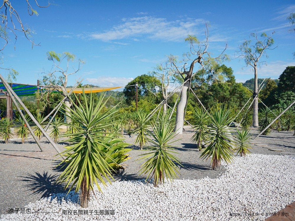 南投名間親子生態園區 南投親子公園 彩虹溜滑梯 盪鞦韆 免門票親子景點 野餐 天空步道 重新開幕
