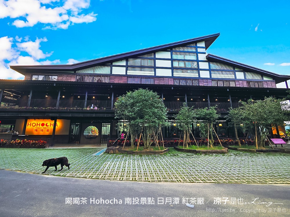 喝喝茶 hohocha 南投景點 日月潭 紅茶廠