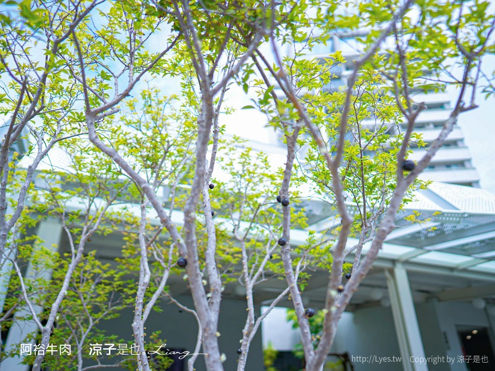 阿裕牛肉涮涮鍋崑崙店 菜單 台南美食 牛肉湯 溫體牛肉火鍋 奇美博物館 十鼓糖廠 美食餐廳