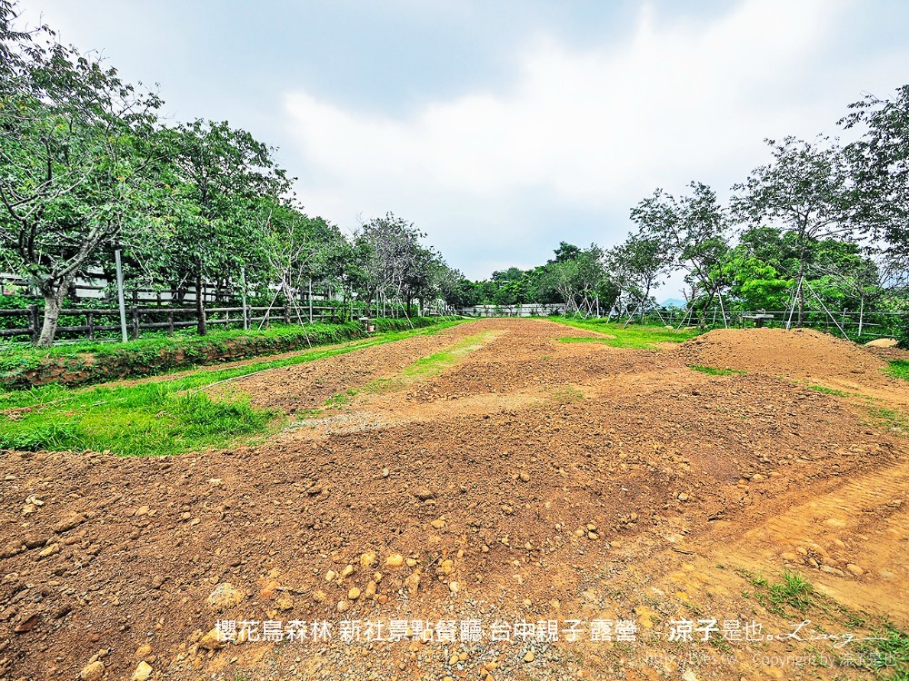 新社景點-櫻花鳥森林 迷你小火車x溜滑梯戲水區x鸚鵡放飛秀x露營 不止花好拍 親子旅遊也好玩！