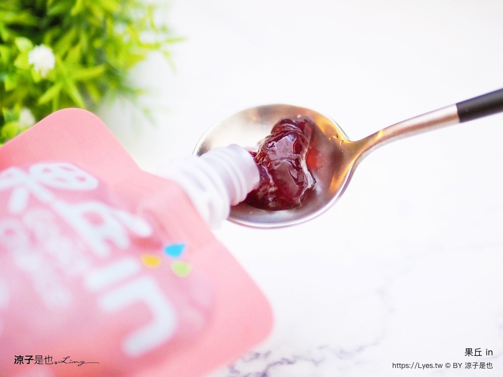 南投埔里 美食 埔里伴手禮 埔里必買 宅配美食 果丘in新品必買