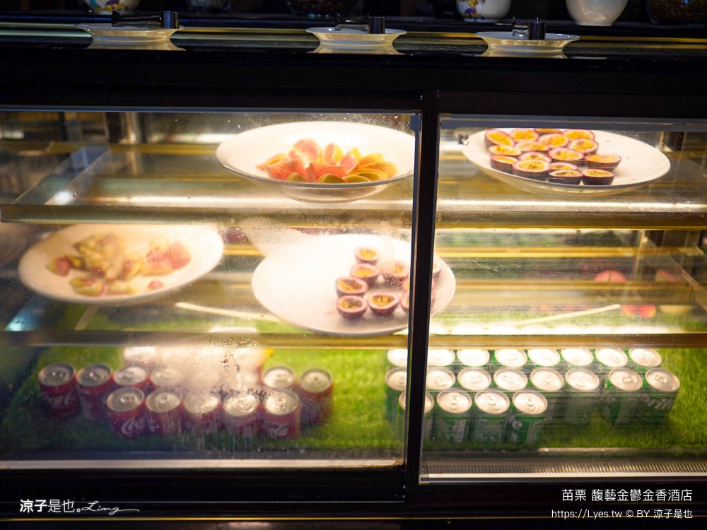 馥藝金鬱金香酒店 苗栗住宿推薦 苗栗親子飯店 早餐 兒童遊戲室 苗栗旅遊 房型介紹