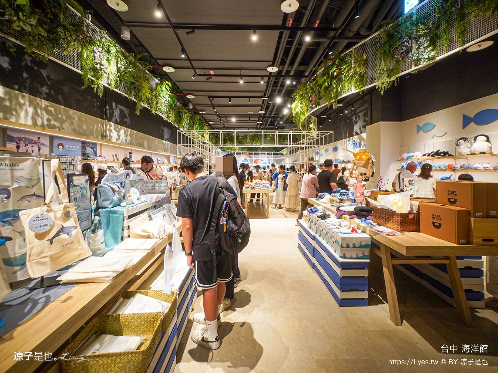 台中海洋館 門票優惠 交通 八大展區 免費票 台中親子景點 台中景點推薦 懶人包 攻略 必看特色