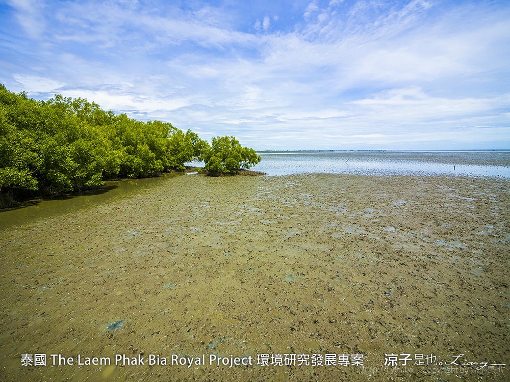 泰國 The Laem Phak Bia Royal Project 環境研究發展專案