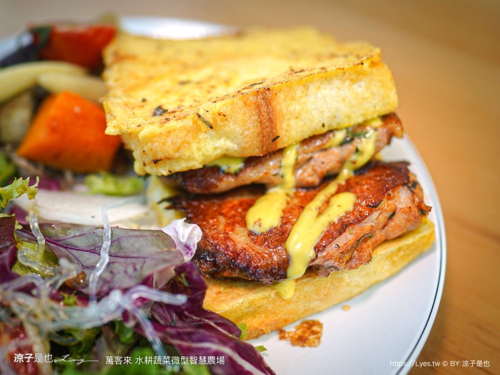 萬客來水耕蔬菜微型智慧農場 菜單 台南餐廳 台南美食 玻璃屋餐廳 台南景觀餐廳 早午餐