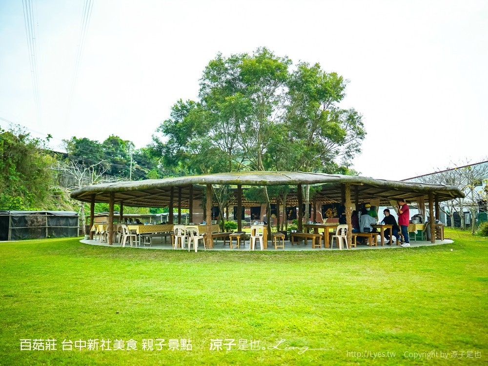 百菇莊 台中新社美食 親子景點