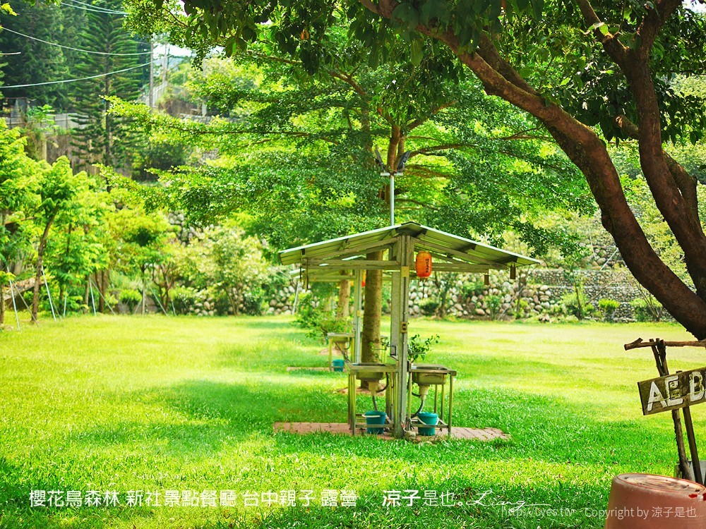 新社景點-櫻花鳥森林 迷你小火車x溜滑梯戲水區x鸚鵡放飛秀x露營 不止花好拍 親子旅遊也好玩！