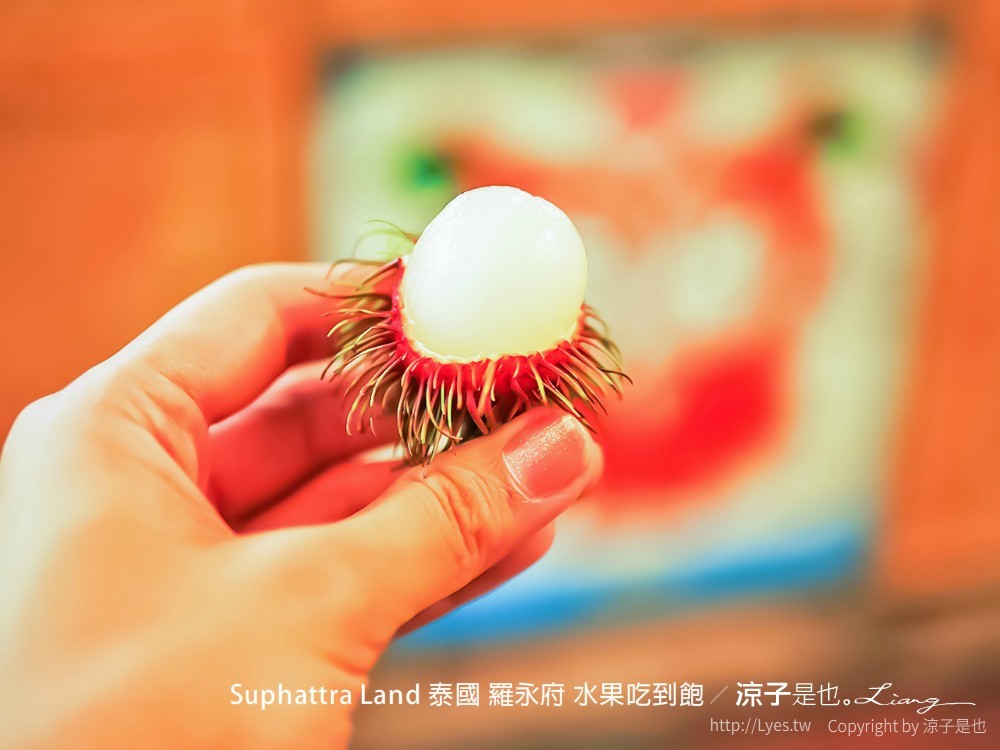 suphattra land 泰國 羅勇府 水果吃到飽