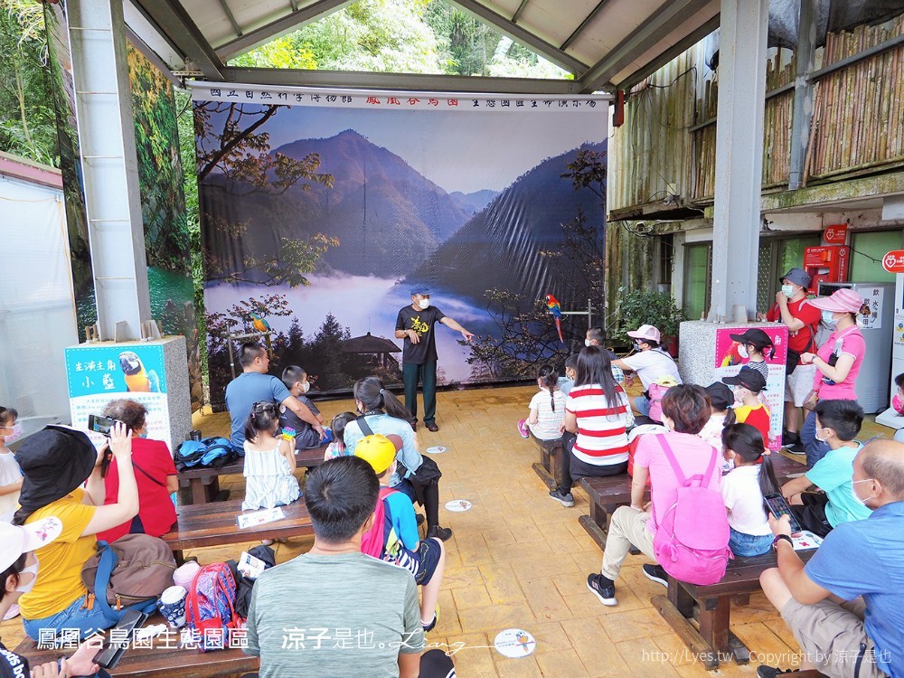 鳳凰谷鳥園生態園區 南投 親子景點 森林溜滑梯 賞鳥 DIY 鹿谷 步道 吊橋 瀑布