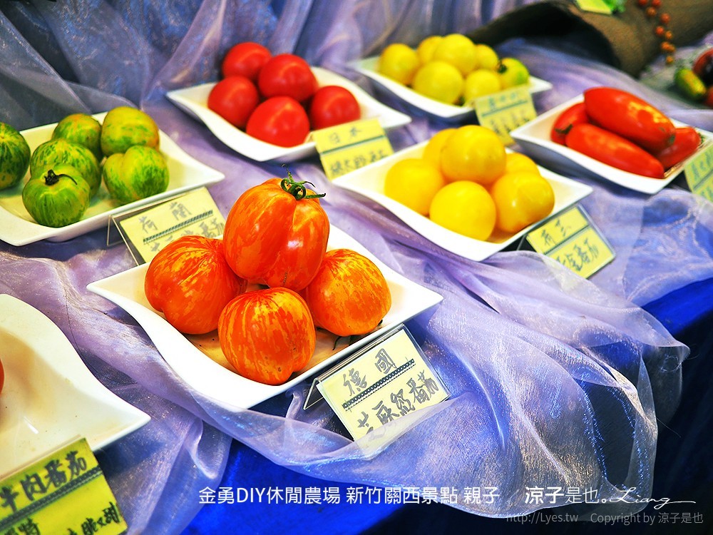 金勇DIY休閒農場 新竹關西景點 親子