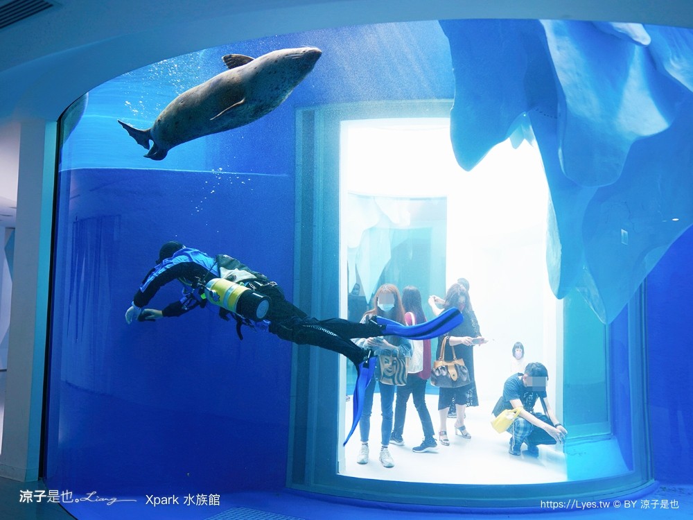 xpark水族館 門票優惠 桃園 親子景點 最新攻略 必看展區 美食餐廳 交通 停車 住宿