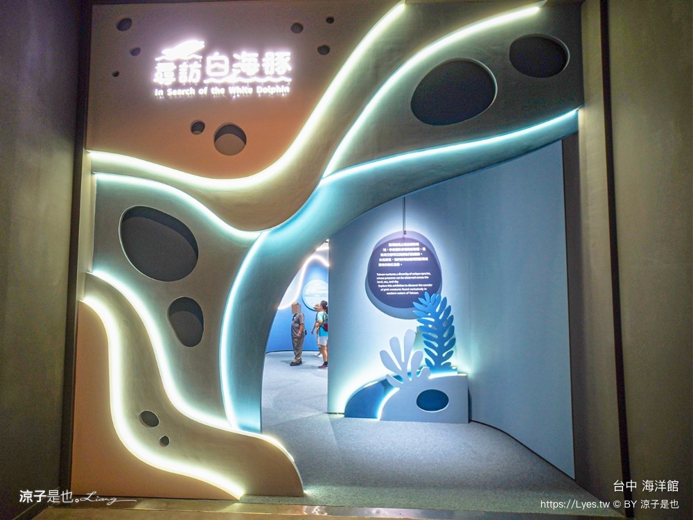 台中海洋館 門票優惠 交通 八大展區 免費票 台中親子景點 台中景點推薦 懶人包 攻略 必看特色