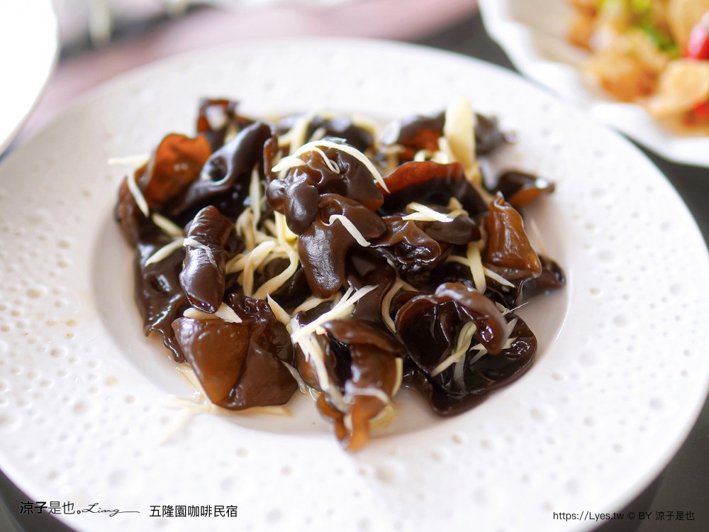 五隆園咖啡B&B景觀莊園 台南東山景觀餐廳 東山咖啡 菜單 台南最高餐廳 合菜餐廳 五隆園咖啡民宿