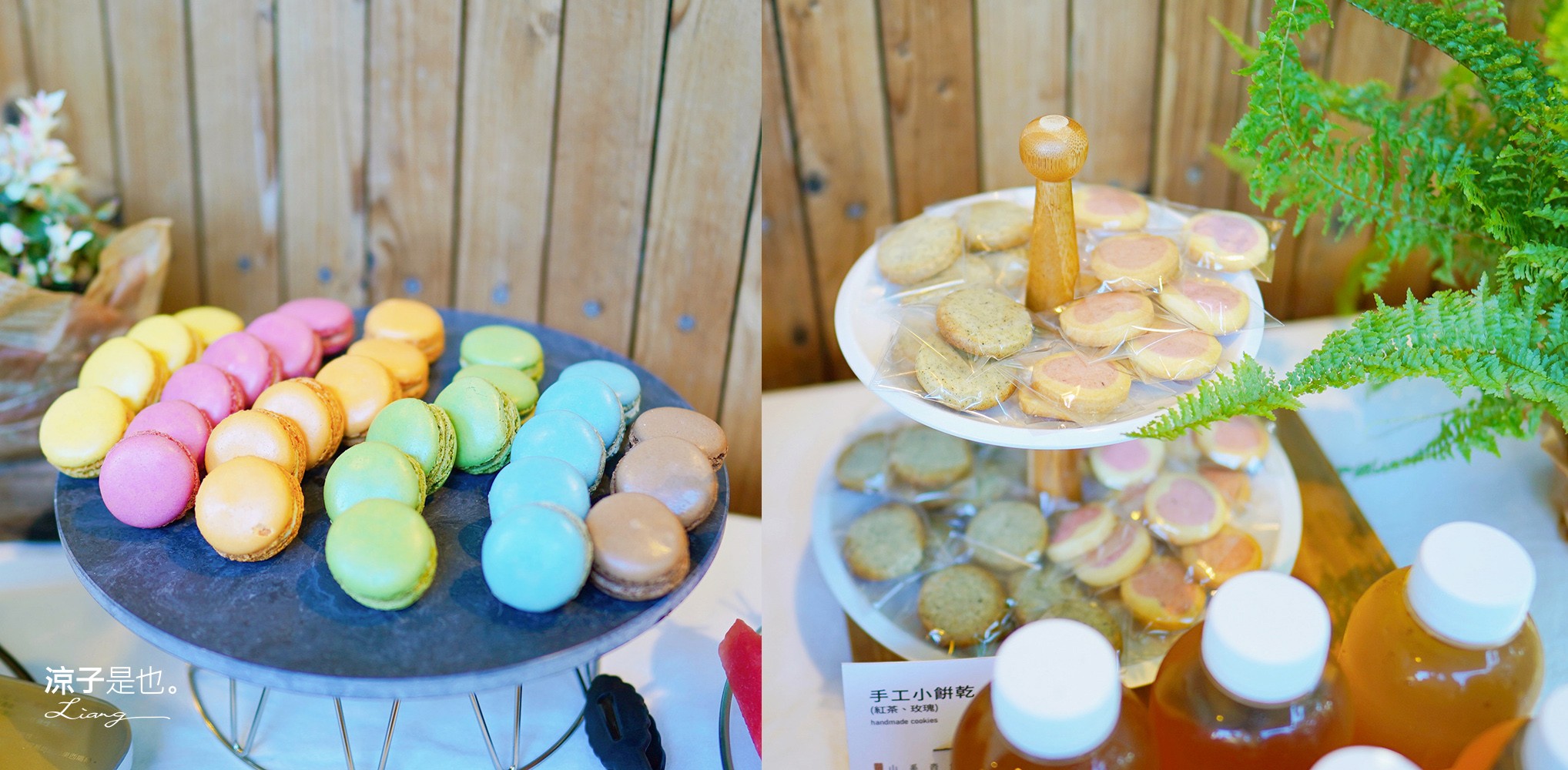 埔里住宿 水泥角生態民宿 南投埔里民宿 包棟民宿 生態導覽 房型 早餐 晚餐 桃米親水公園住宿 一泊二食