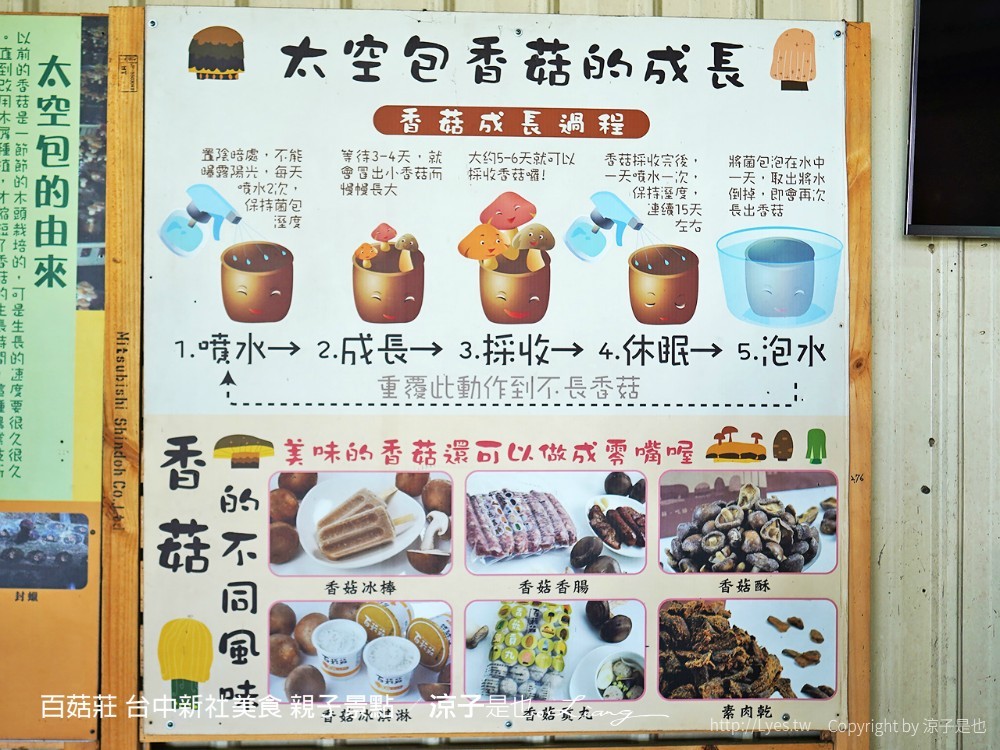 百菇莊 台中新社美食 親子景點