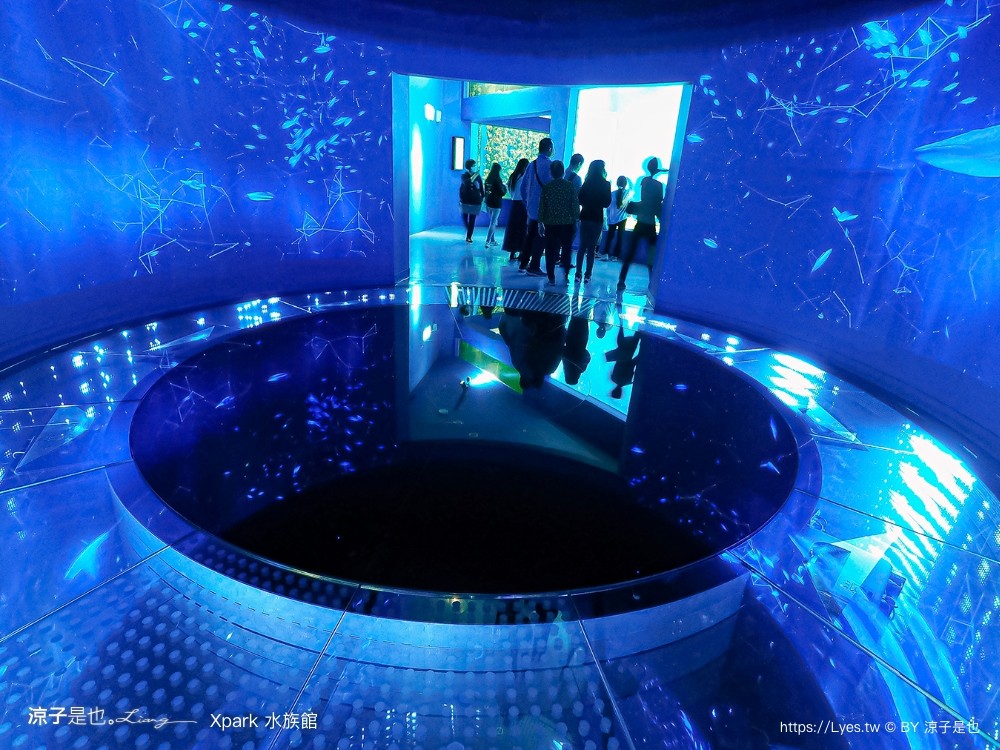 xpark水族館 門票優惠 桃園 親子景點 最新攻略 必看展區 美食餐廳 交通 停車 住宿