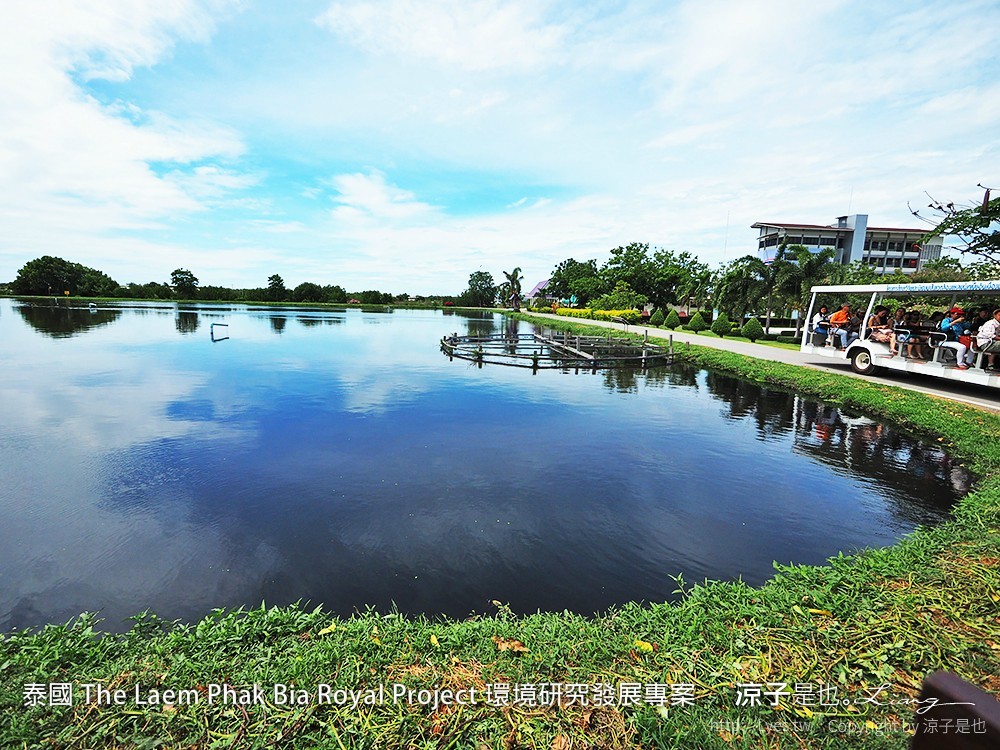 泰國 The Laem Phak Bia Royal Project 環境研究發展專案