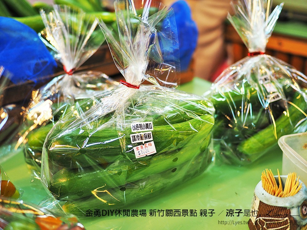 金勇DIY休閒農場 新竹關西景點 親子