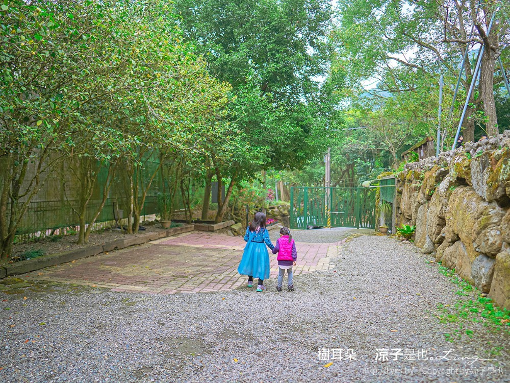 樹耳朵 菜單 台南關仔嶺 甜點咖啡館 景觀餐廳 白河 檸檬塔 假日限定 森林系