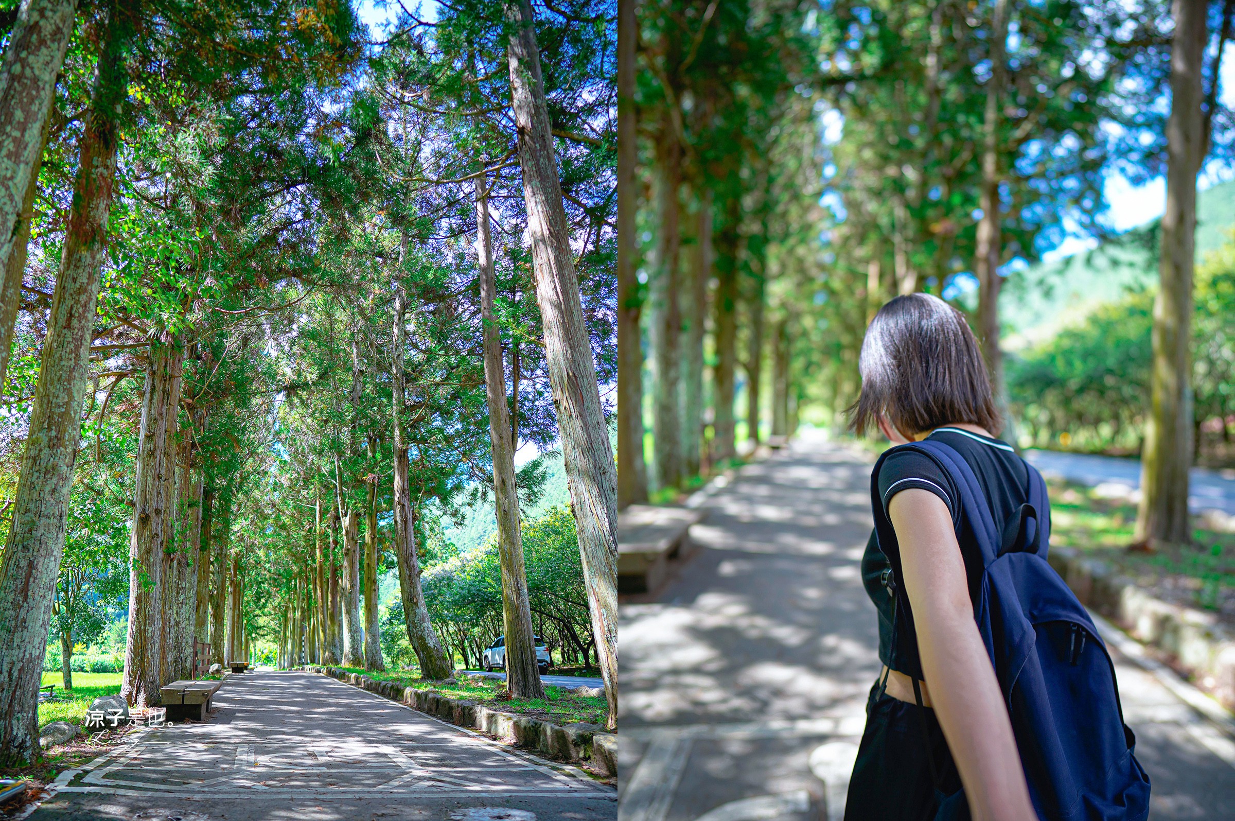 福壽山農場怎麼玩 武陵農場攻略 2022臺中購物節 一日遊 二日遊 門票 民宿房型 住宿 露營 蘋果 楓葉