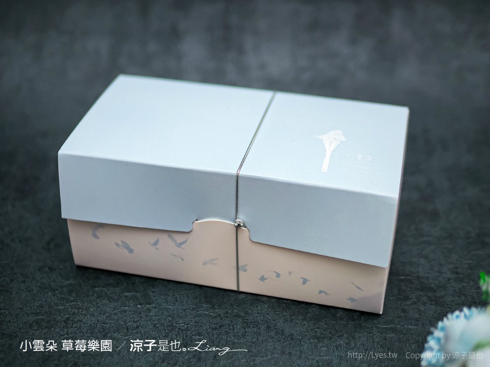 台中草莓蛋糕 小雲朵甜點工作室 預購制 草莓樂園 菜單 台中甜點下午茶