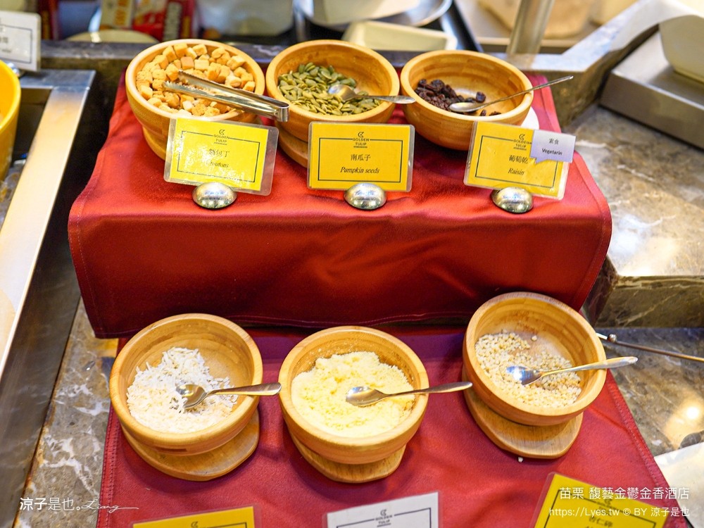 馥藝金鬱金香酒店 苗栗住宿推薦 苗栗親子飯店 早餐 兒童遊戲室 苗栗旅遊 房型介紹