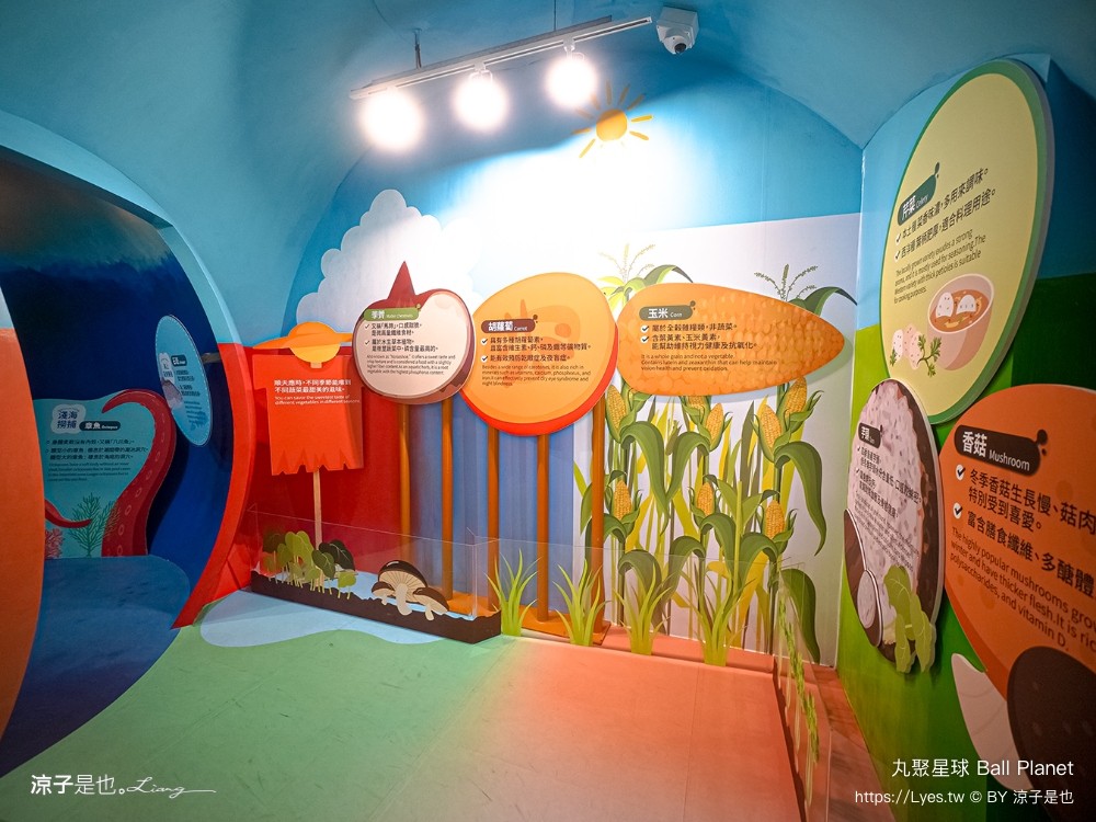 丸聚星球 嘉義觀光工廠 親子景點 嘉楠食品 大林景點 貢丸 親子diy 嘉義雨天景點 室內景點 大林必玩 ball planet